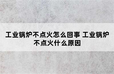 工业锅炉不点火怎么回事 工业锅炉不点火什么原因